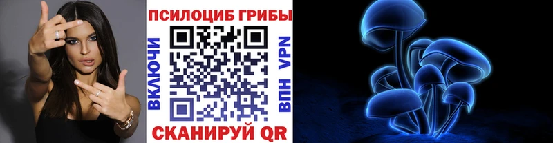 как найти закладки  Заволжск  Галлюциногенные грибы Magic Shrooms 